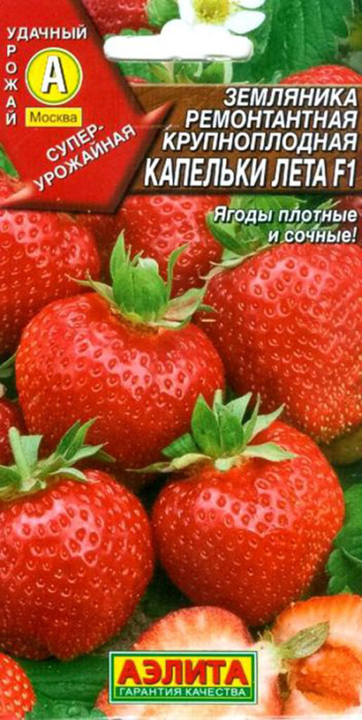 Ремонтантная клубника: описание, ТОП лучших сортов и выращивание