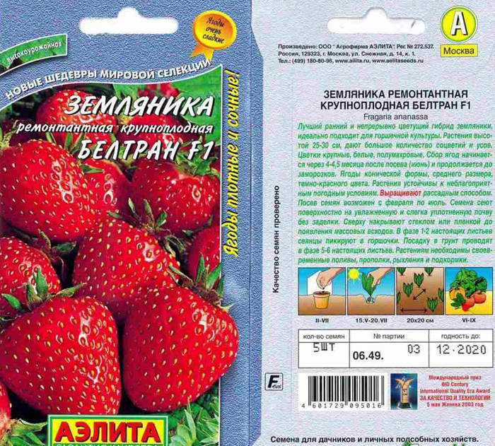 Ремонтантная клубника: описание, ТОП лучших сортов и выращивание