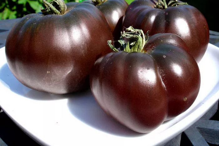 Сладкие томаты — Топ 25 самых вкусных томатов для теплиц и открытого грунта