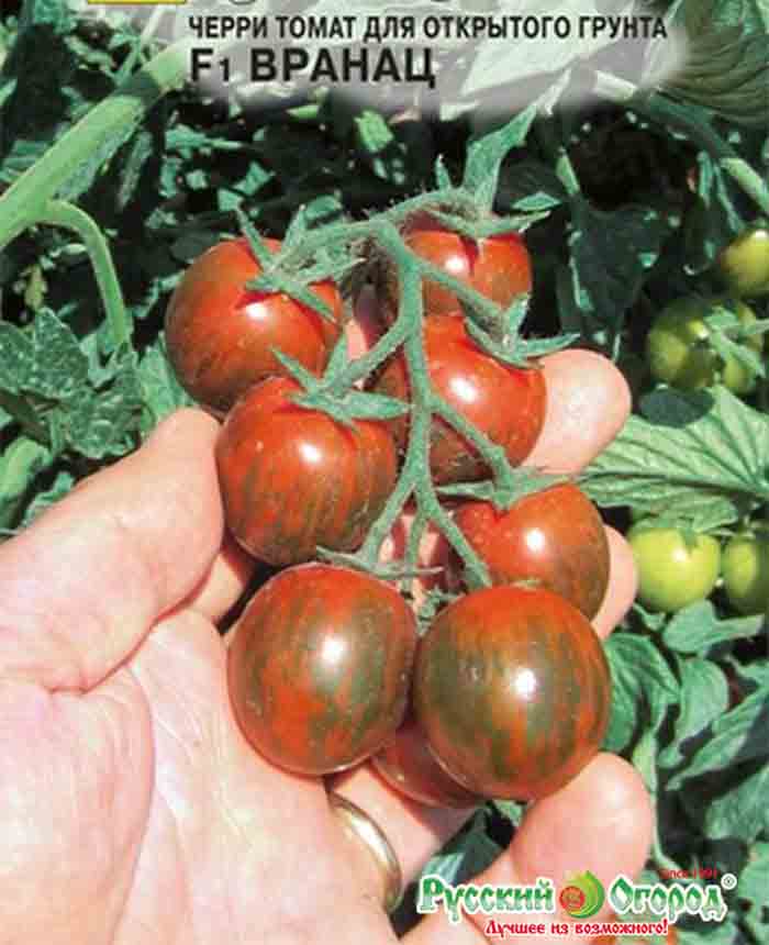 Сорта черных томатов (40 фото) — названия и описание