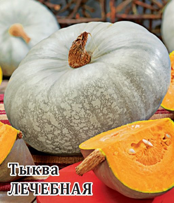 Сорта тыквы 2023 года — описание с фото