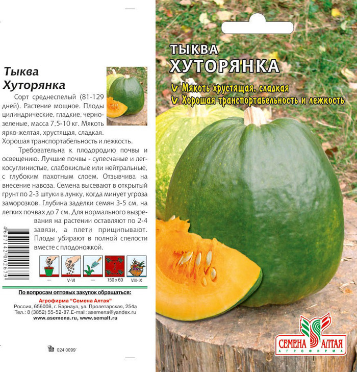 Сорта тыквы 2023 года — описание с фото