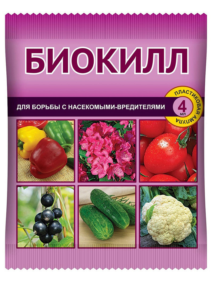 Тля на розах: как выглядит и чем бороться? Рейтинг средств 2022