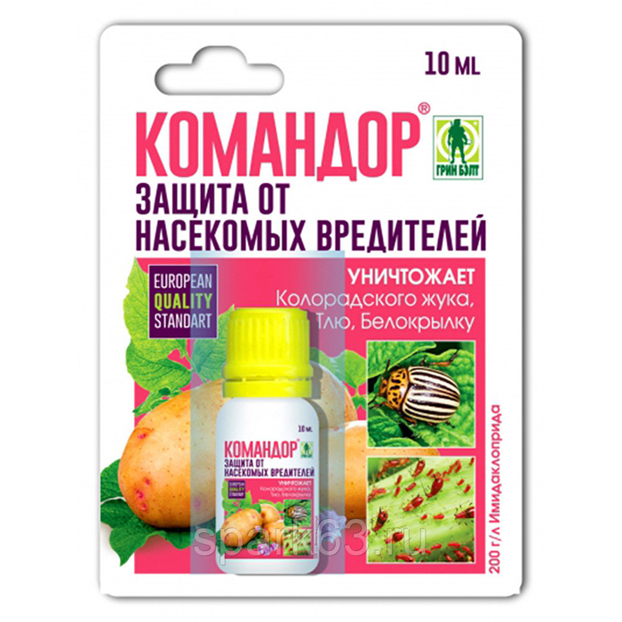 Тля на розах: как выглядит и чем бороться? Рейтинг средств 2022
