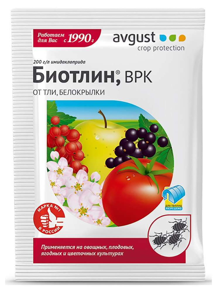 Тля на розах: как выглядит и чем бороться? Рейтинг средств 2022