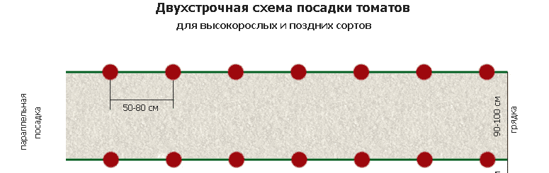 Схема посадки махорки