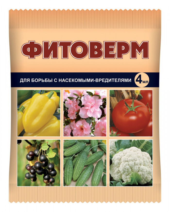 Томат «Сливка» (45 фото) — описание сорта, выращивание в теплице и открытом грунте в 2023 году