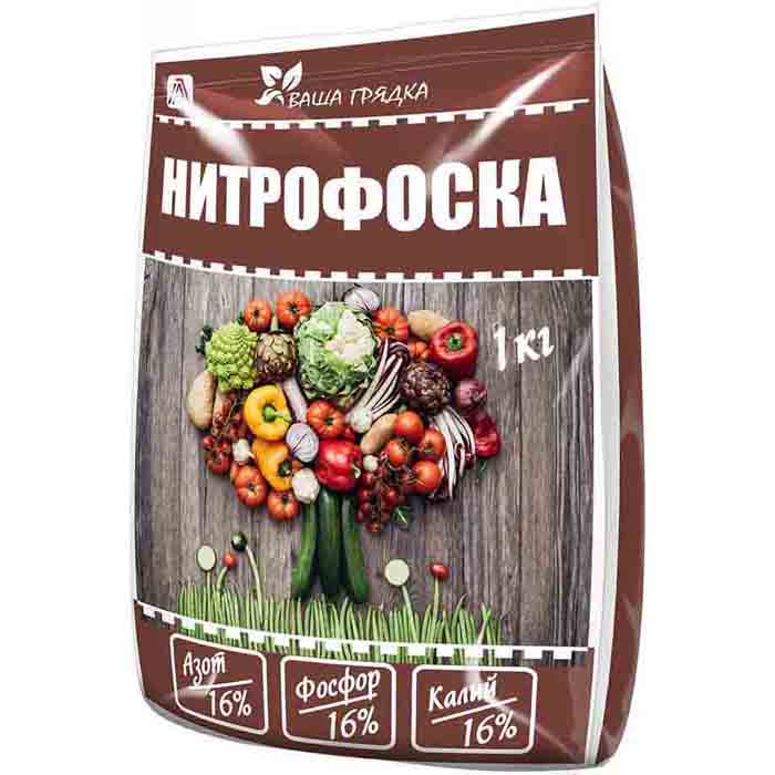 Томат «Сливка» (45 фото) — описание сорта, выращивание в теплице и открытом грунте в 2023 году