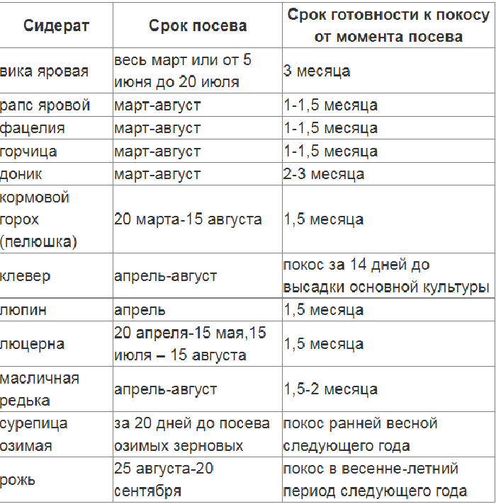 Сидераты список с картинками