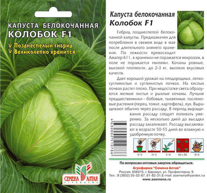 Капуста амагер схема посадки