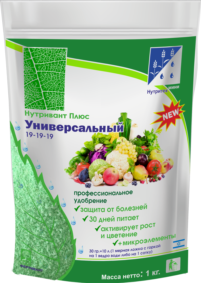 Вершинная гниль на помидорах: причины, что делать, как лечить?