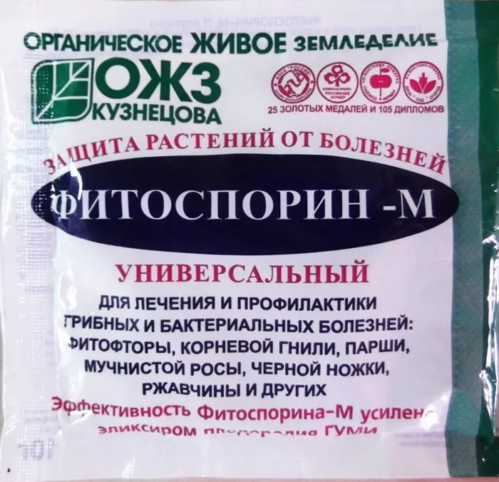 Вершинная гниль на помидорах: причины, что делать, как лечить?