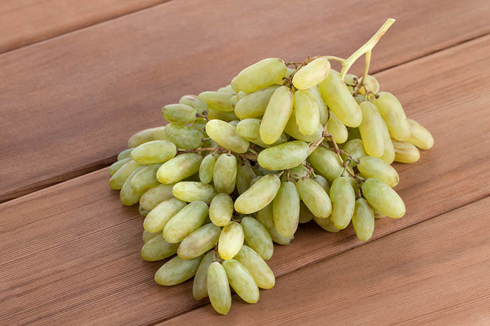 Виноград Дамские Пальчики или Хусайне белый (40 фото) – описание сорта, выращивание и уход