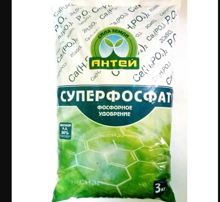 Внекорневая подкормка огурцов – схемы и дозировки