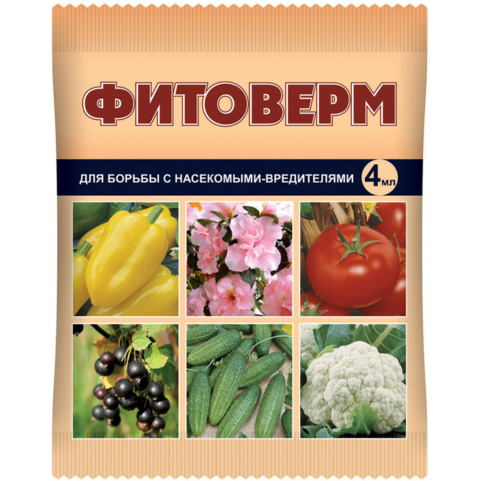 Жук бронзовка (35 фото) — описание, польза и вред, меры борьбы