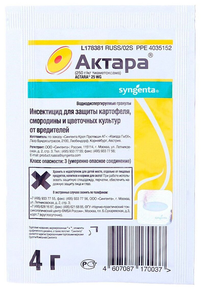 Жук бронзовка (35 фото) — описание, польза и вред, меры борьбы