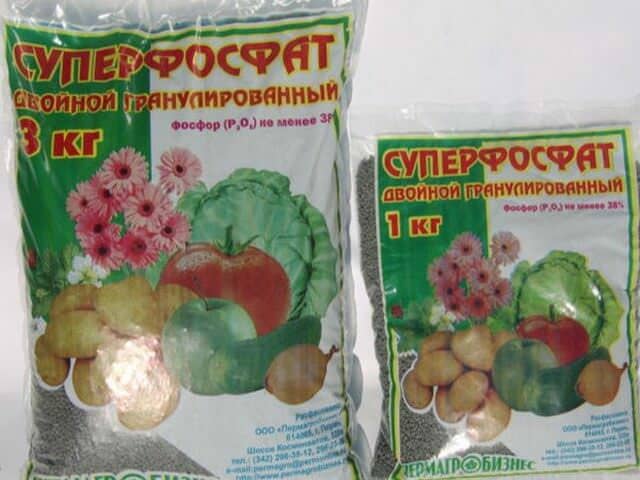 Фосфорные удобрения для томатов: от теории к практике