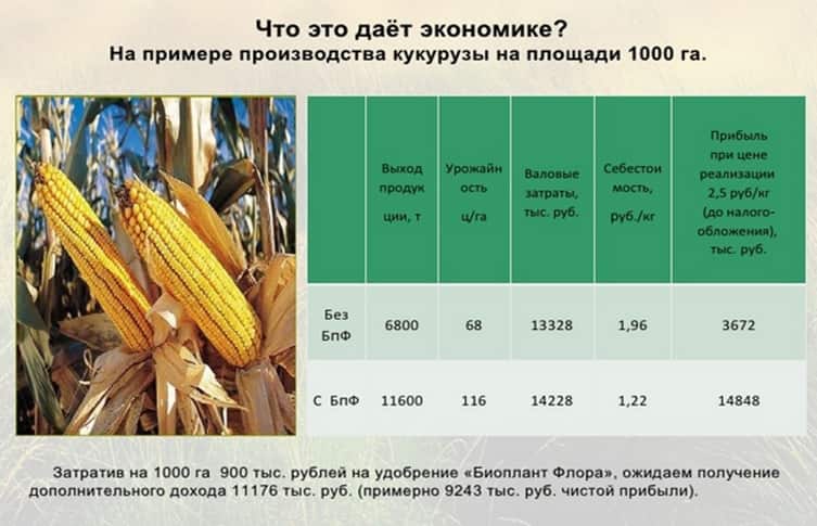 Листовое удобрение для пищевой кукурузы