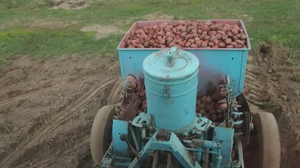 Удобрение ому картофельное: как использовать, преимущества, нормы внесения