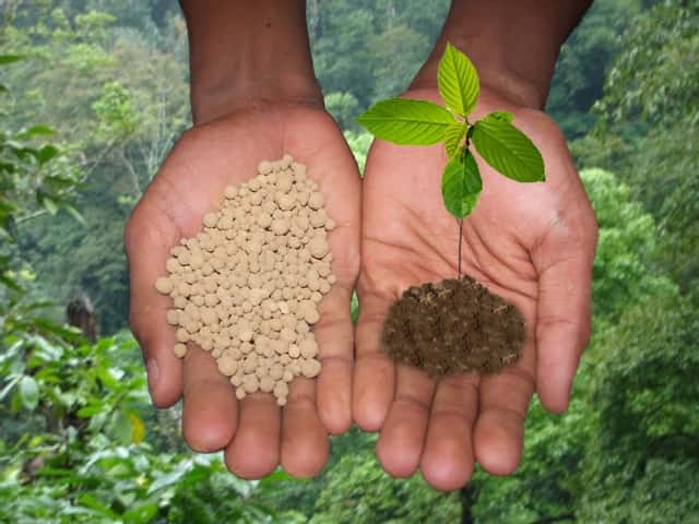 Удобрения на основе азота, фосфора и калия – источник питания для растений!