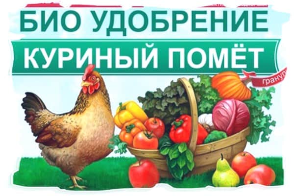 Азотная подкормка для богатого урожая на грядках