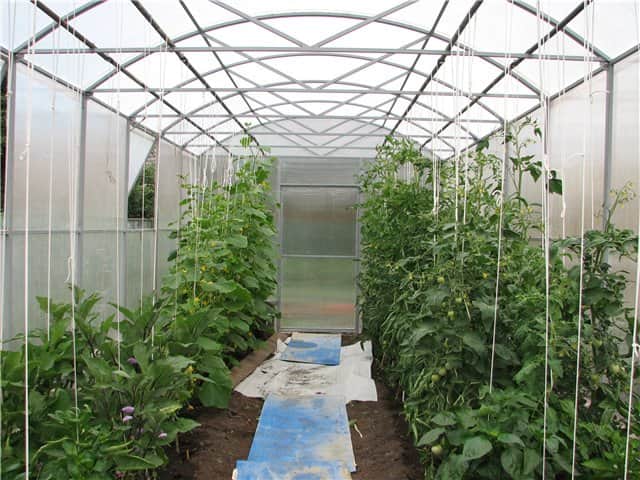 Кисломолочный продукт для сада и огорода