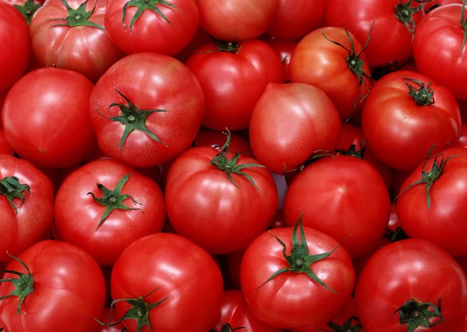 Секреты подкормки помидоров в теплице