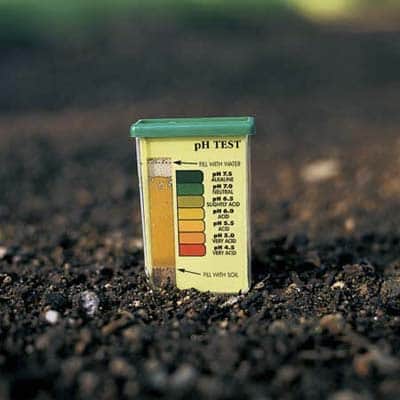 Удобрения для кислой почвы, какие применять и как