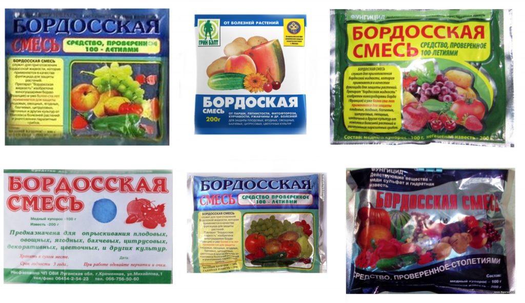 Чем и как опрыскивать малину: эффективные способы