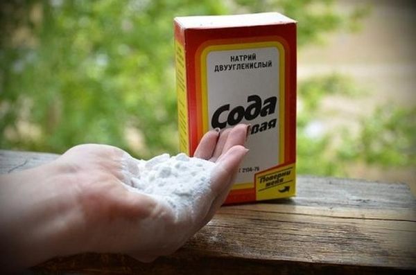 Чем обрабатывают крыжовник от мучнистой росы ранней весной