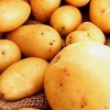 Чем обрабатывать картофель перед посадкой?