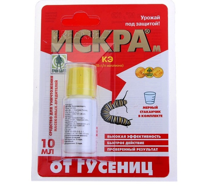 Чем обработать капусту от гусениц: эффективные народные средства