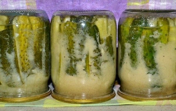 Холодный и горячий способы засолки огурцов в банках и бочке