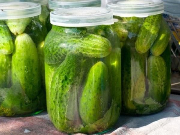 Холодный и горячий способы засолки огурцов в банках и бочке