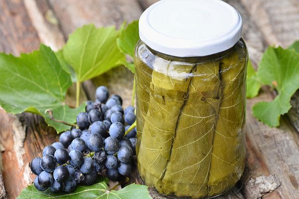 Легкие рецепты приготовления маринованного винограда и его листьев