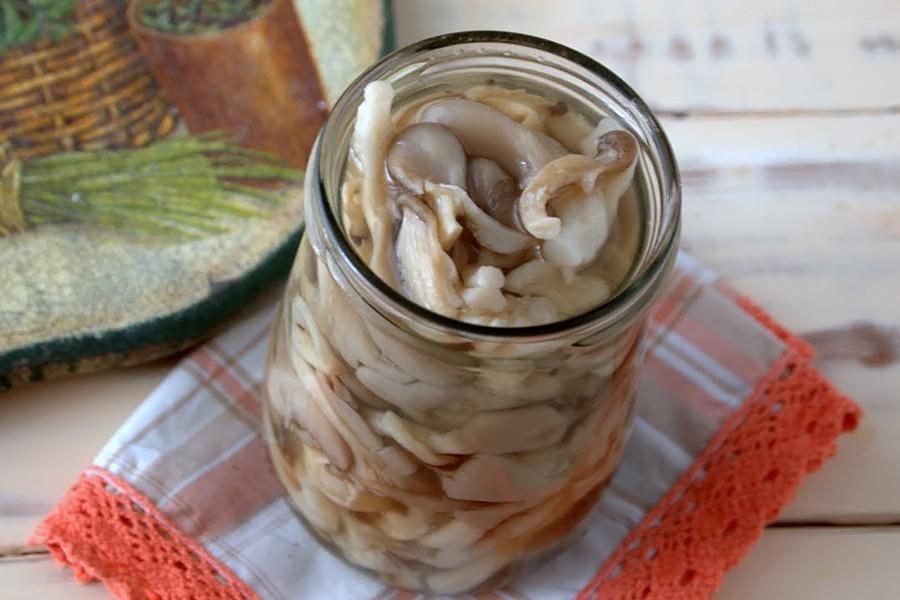 Маринованные вешенки в домашних условиях: 10 рецептов с фото и описаниями