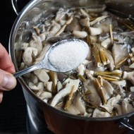 Маринованные вешенки в домашних условиях: 10 рецептов с фото и описаниями