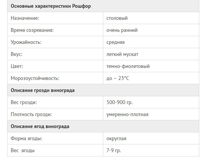Советы начинающим виноградарям: как посадить и вырастить виноград Рошфор