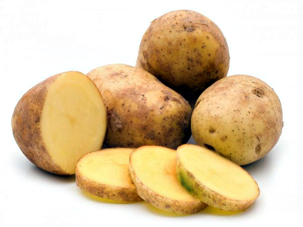 Универсальный раннеспелый сорт картофеля Гала