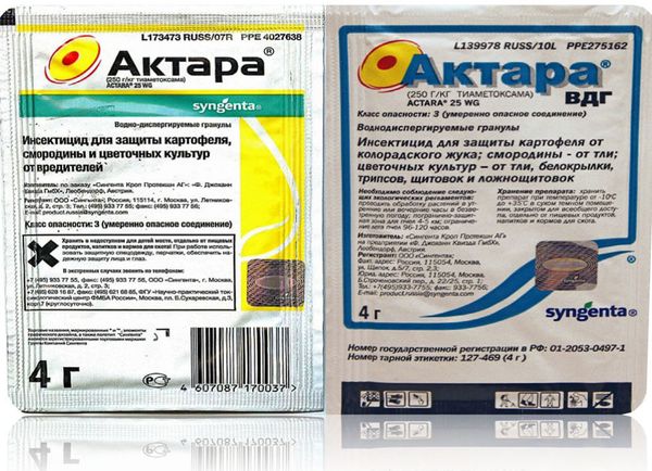 Чем лучше обработать грушу весной от вредителей и болезней