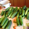 Хлебная подкормка для огурцов: как приготовить Хлебная подкормка для огурцов: как приготовить
