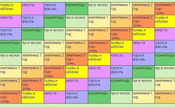 Как улучшить плодородие и состав почвы на участке