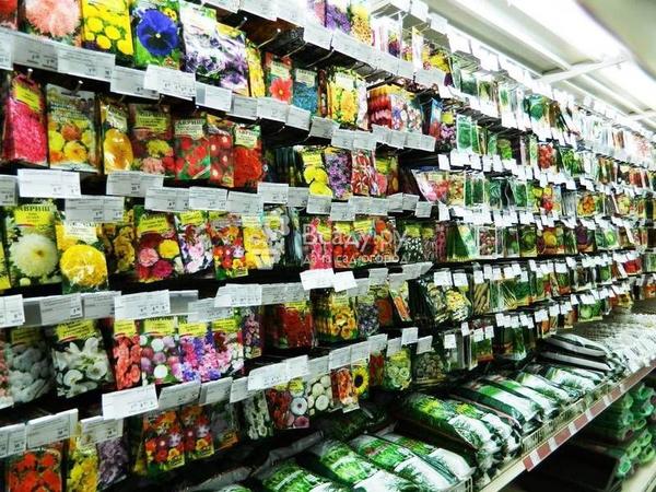 Как выбрать качественные семена на рассаду