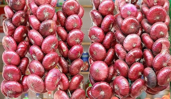 Популярные сорта лука: описание и характеристика