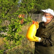 Препарат Алатар для борьбы с насекомыми: инструкция по применению в саду и на огороде