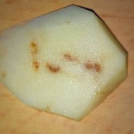 Распространенные болезни картофеля и эффективные методы борьбы с ними
