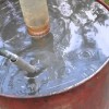 Сколько и как поливать огурцы в теплице