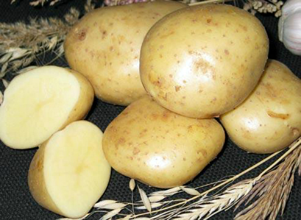 Сорта картофеля заслуживающие вашего внимания