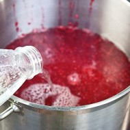 ТОП-14 классических и необычных рецептов вина из калины в домашних условиях