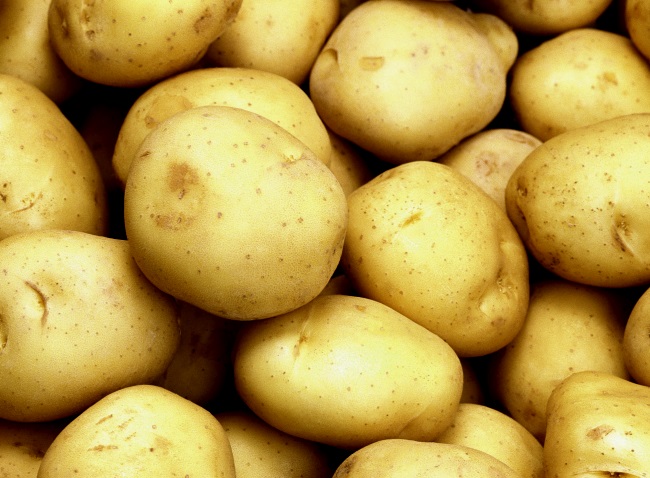 Картофель сорта “Тулеевский”: описание и особенности выращивания